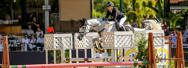 cavalo com amazona salta sobre obstáculos 