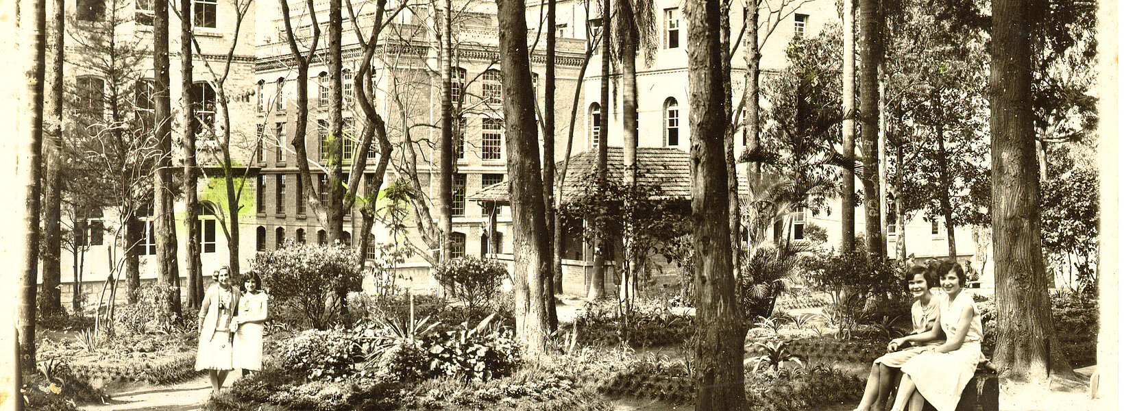 bosque direito mackenzie 1954