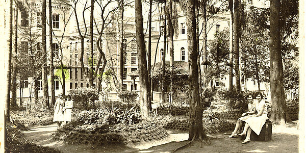 bosque direito mackenzie 1954