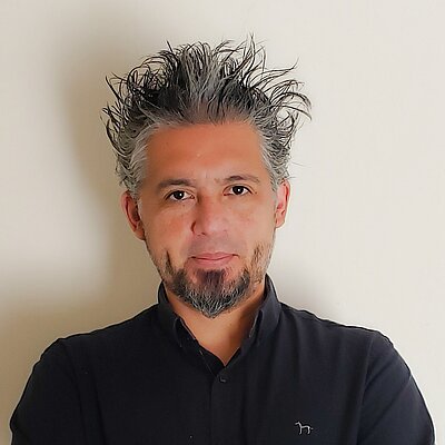 Prof. Dr. Carlos Andrés Hernández Arriagada