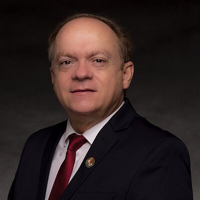 Prof. Marcos Massi, PhD. Prof. Marcos Massi, PhD.