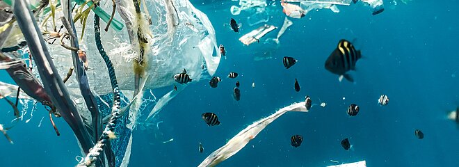 A foto foi tirada embaixo do mar e mostra lixos perto dos peixes.