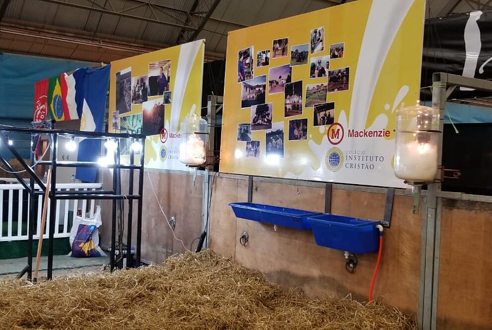 imagens dos animais cuidados pelo Instituto Cristão de Castro