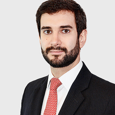 Prof. Dr. Rodrigo Domingues de Castro Camargo Aranha