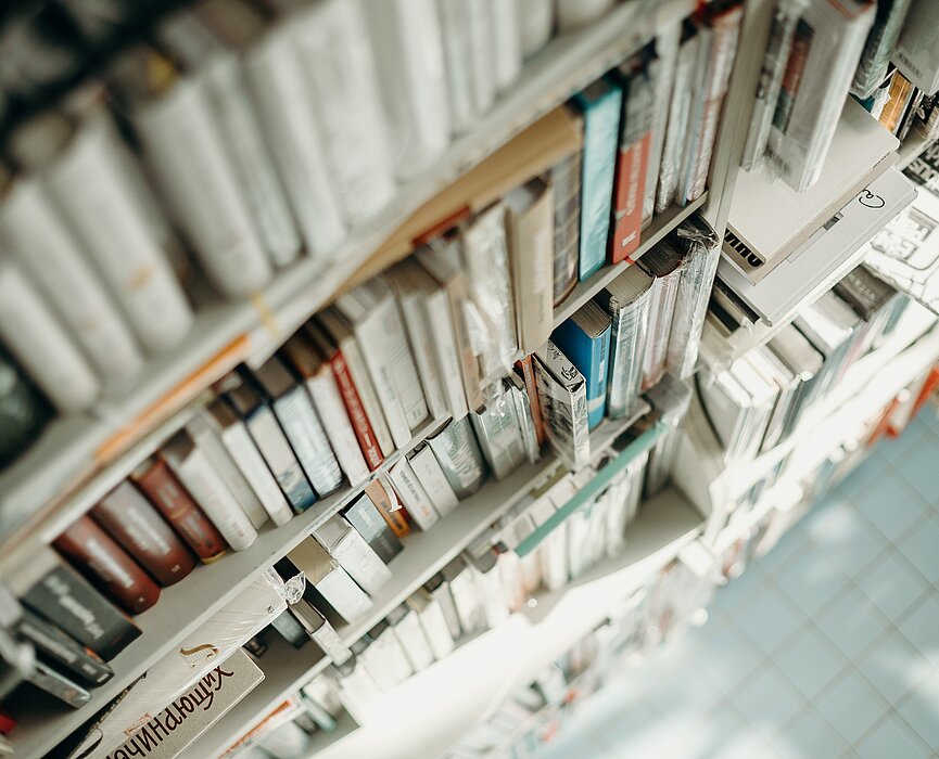 A foto de capa mostra uma estante de livros, registrada de cima. A parte superior da foto está desfocada e a inferior também. Apenas os livros do meio estão em destaque. Uma luz natural invade a foto, iluminando alguns livros. 