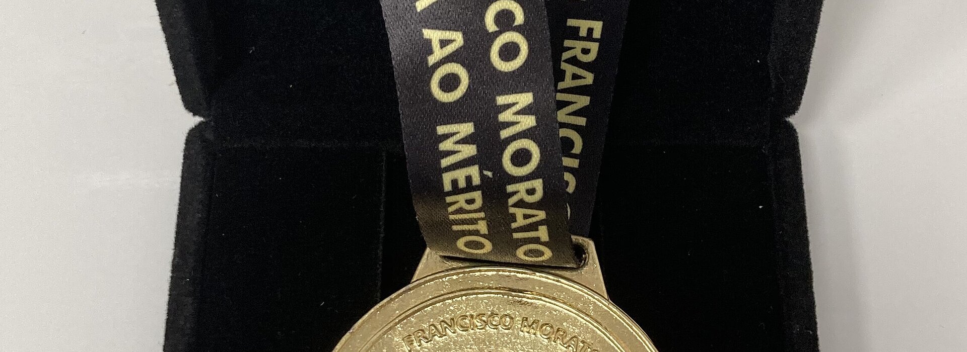 Medalha entregue ao professor da Escola de Engenharia no evento.
